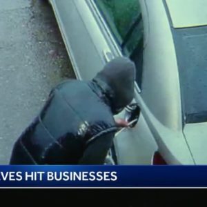 Caught on camera: Sacramento County auto shops hit by gas thieves