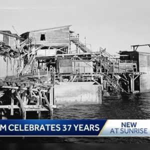 Monterey Bay Aquarium celebrates its 37th birthday