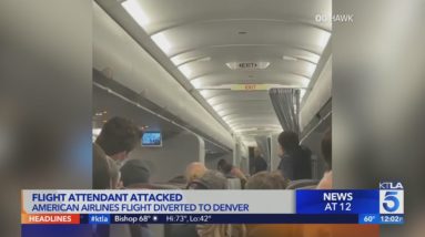 American Airlines flight to O.C. diverted to Denver after passenger attacks flight attendant, airlin
