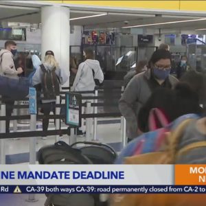 93% of TSA employees in compliance with COVID vaccine deadline