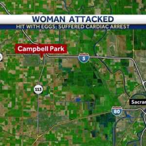 Woodland PD: 74-year-old woman struck with eggs, hospitalized after cardiac arrest