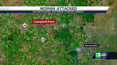 Woodland PD: 74-year-old woman struck with eggs, hospitalized after cardiac arrest