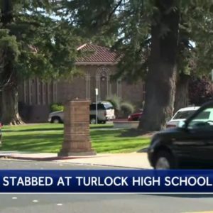 Turlock High School student stabbed on campus, another student in custody, officials say