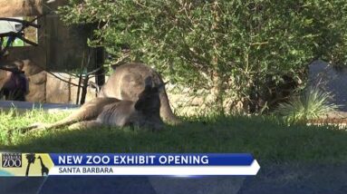 Australian Walkabout opens Saturday at the Santa Barbara Zoo