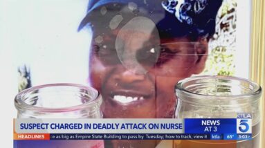 Charges filed in fatal attack on nurse at L.A. bus stop