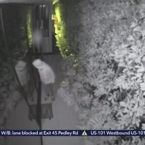 Family frightened by burglar, who remains on loose