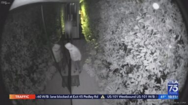 Family frightened by burglar, who remains on loose