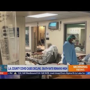 L.A. County COVID cases decline amid high death rates