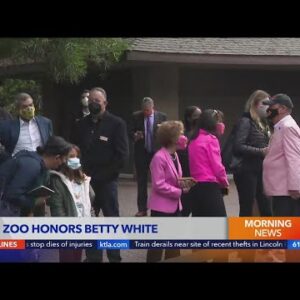 L.A. Zoo honors Betty White