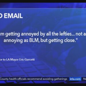 Leaked emails show Garcetti staffer calling BLM ‘annoying’: Report