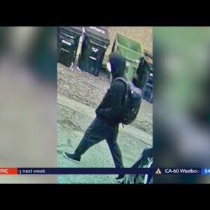 Man accused in Hancock Park stabbing arrested in Pasadena