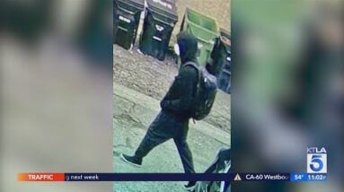 Man accused in Hancock Park stabbing arrested in Pasadena