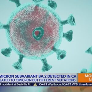 Omicron subvariant detected in California