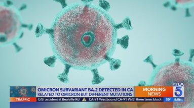 Omicron subvariant detected in California