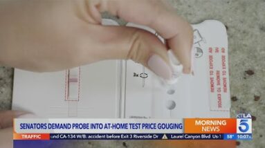 Senators demand prove into at-home COVID test price gouging