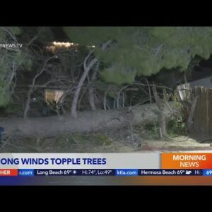 Strong winds hit SoCal