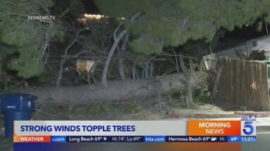 Strong winds hit SoCal