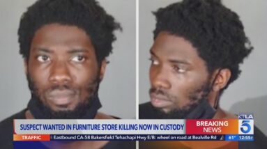 Suspect arrested in woman’s killing at Hancock Park furniture store