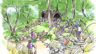 Santa Barbara Botanic Garden announces new exhibit “The Backcountry” coming in June 2022