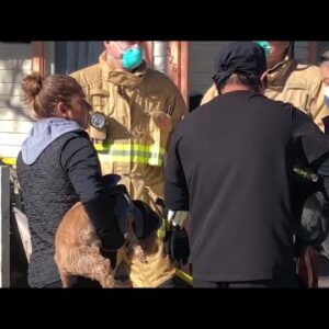 Two dogs rescued at the scene of a Santa Barbara house fire