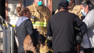 Two dogs rescued at the scene of a Santa Barbara house fire