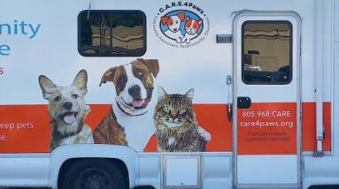 Santa Barbara County: Local animal organization expands services as demands rise during ...