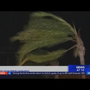 Wind causes widespread damage in SoCal