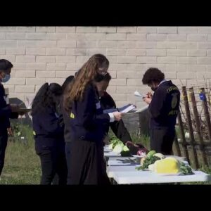 Allan Hancock College hosts first annual Field Day