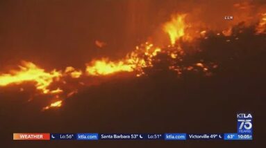 Evacuation orders lifted after Emerald Fire burns 145 acres in Laguna Beach