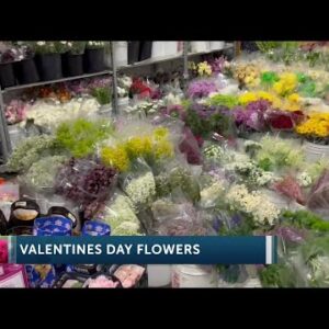 Business is blooming as Valentines Days flower rush is on