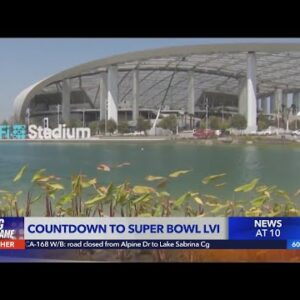 Business owners hoping to capitalize on Super Bowl excitement