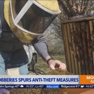 California beehive robberies spur anti-theft measures