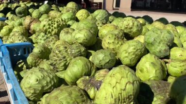 Cherimoya fruit demand up for the Lunar New Year