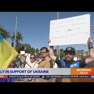 Demonstrators supporting Ukraine rally in Westwood