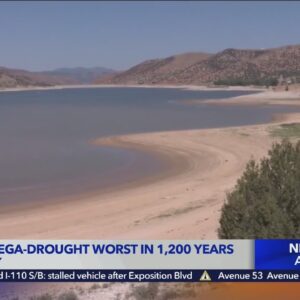 West megadrought hits worst-case scenario, now driest in at least 1,200 years