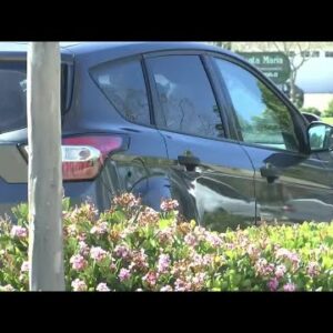 Car insurance prices could increase for some drivers, Santa Maria experts provide tips on how ...