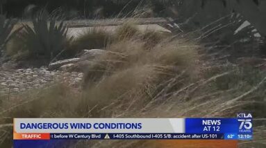 Powerful winds return to SoCal