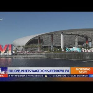 MaximBet's Doug Terfehr breaks down the billions in bets expected to be waged on Super Bowl LVI