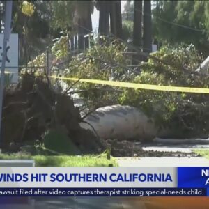 Santa Ana winds cause more damage in SoCal