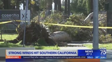 Santa Ana winds cause more damage in SoCal