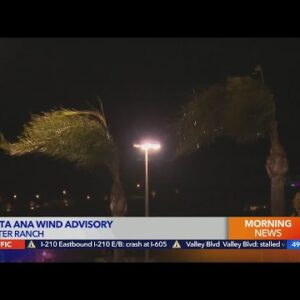Santa Ana winds whip L.A. and Ventura counties