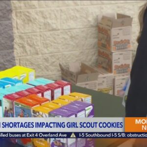 Supply chain issues impacting Girl Scout cookies