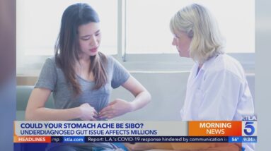 Underdiagnosed gut health issue SIBO affects millions