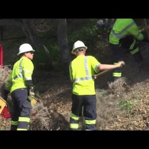 Wildfire prevention and brush clearing in Montecito