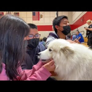 Santa Maria-Bonita School District: Kids get hands-on experience with therapy dogs