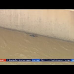 2 people, dog rescued from L.A. River amid rain storm