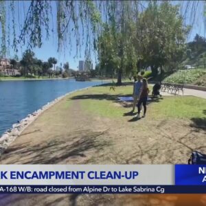 A year later, Echo Park Lake cleanup provides a mixed bag of results