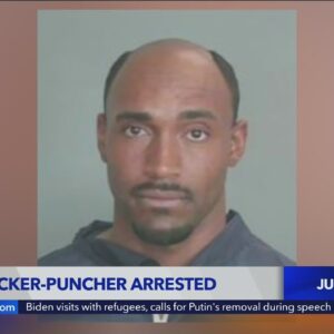 Arrest made in Anaheim assaults