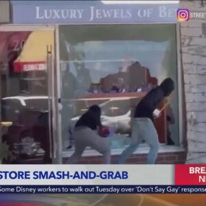 Brazen smash-and-grab burglary in Beverly Hills under investigation