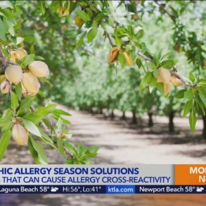 Bryce Wylde on a homeopathic approach to allergy season